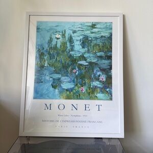 Brand New Claude Monet Waterlillies 1919 Abstract Print Poster 16x20”